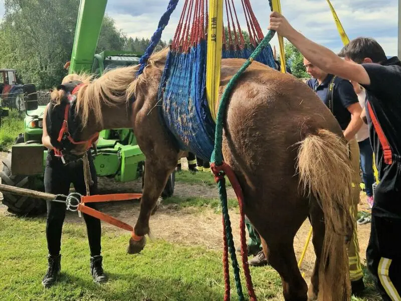 Feuerwehr rettet Pferd aus Schacht
