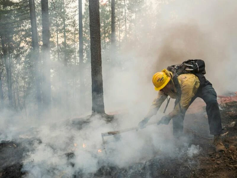 Waldbrände in den USA - Kalifornien