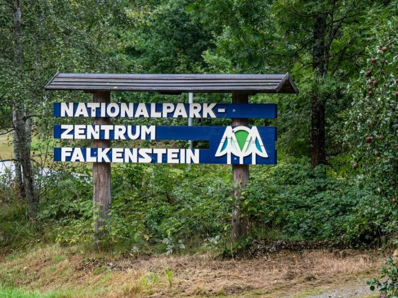 Nationalparkzentrum Falkenstein