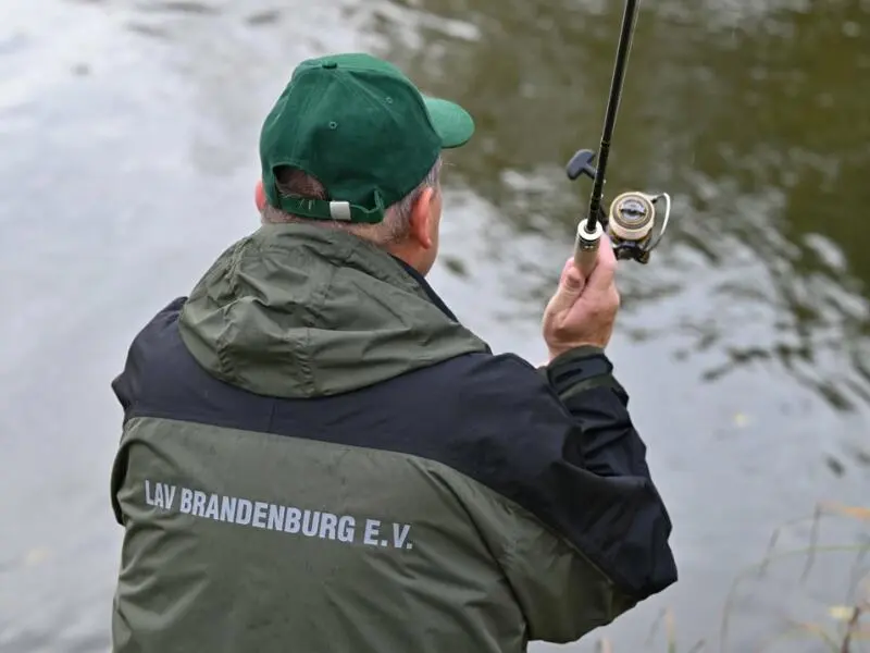 LAV Landesanglerverbandes Brandenburg