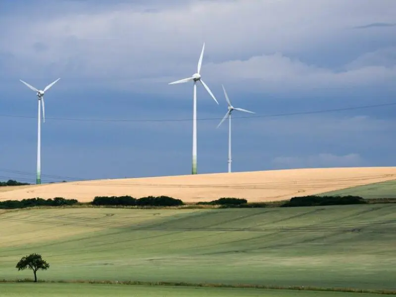 Vor der Getreideernte in Niedersachsen