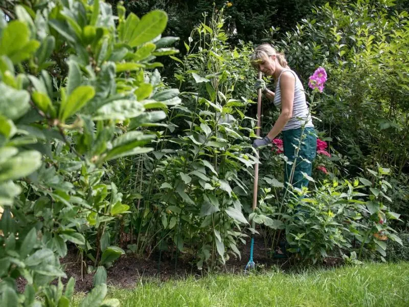 Gartenarbeit - Boden lockern