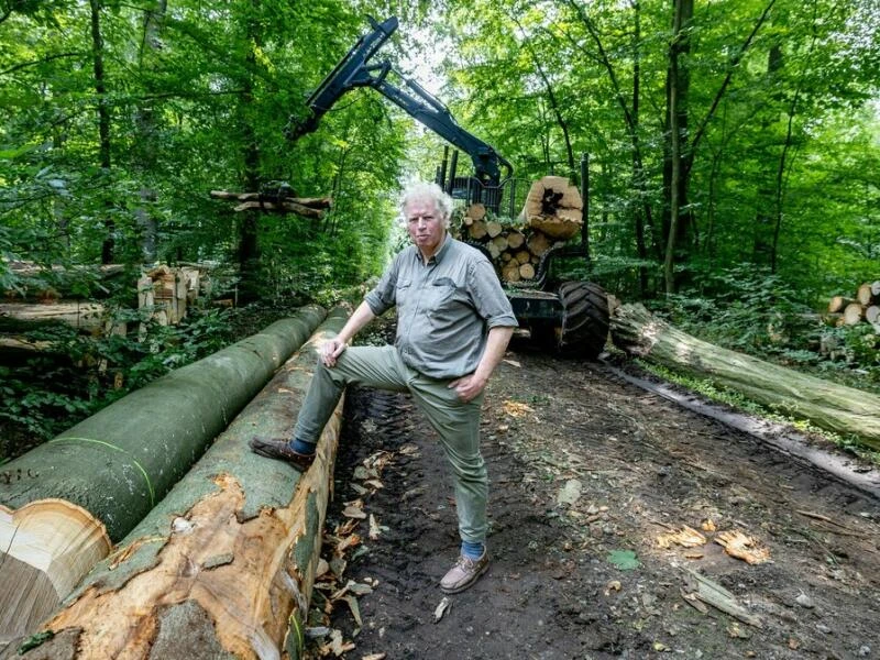 Holzernte im Privatwald