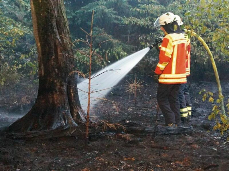 Brand im Hardtwald