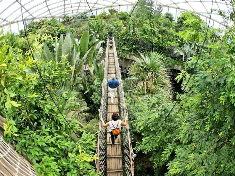 Gondwanaland im Zoo Leipzig