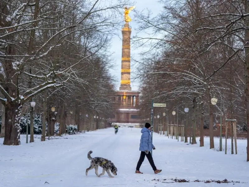 Hund in Berlin