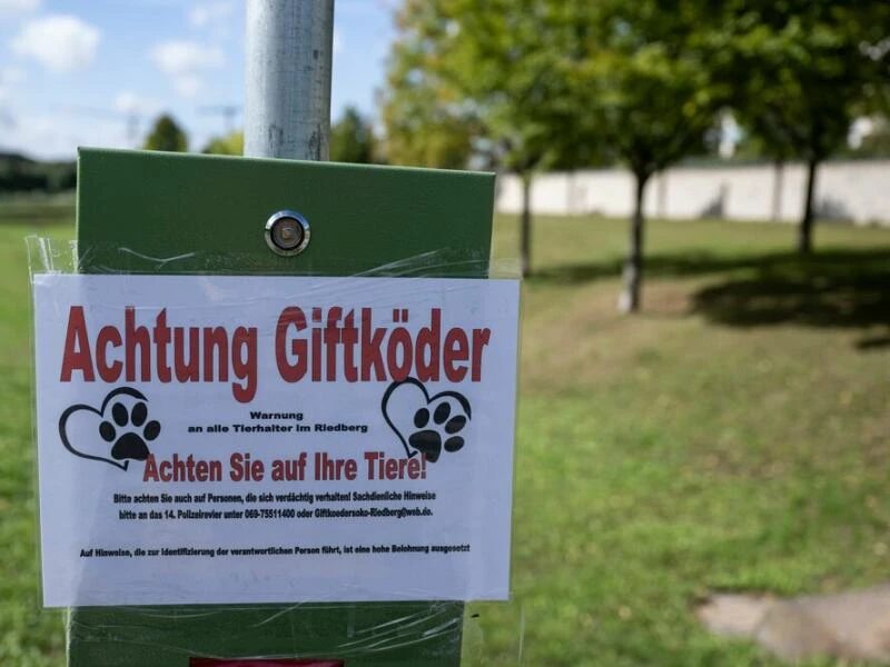 Hunde mit Giftköder getötet