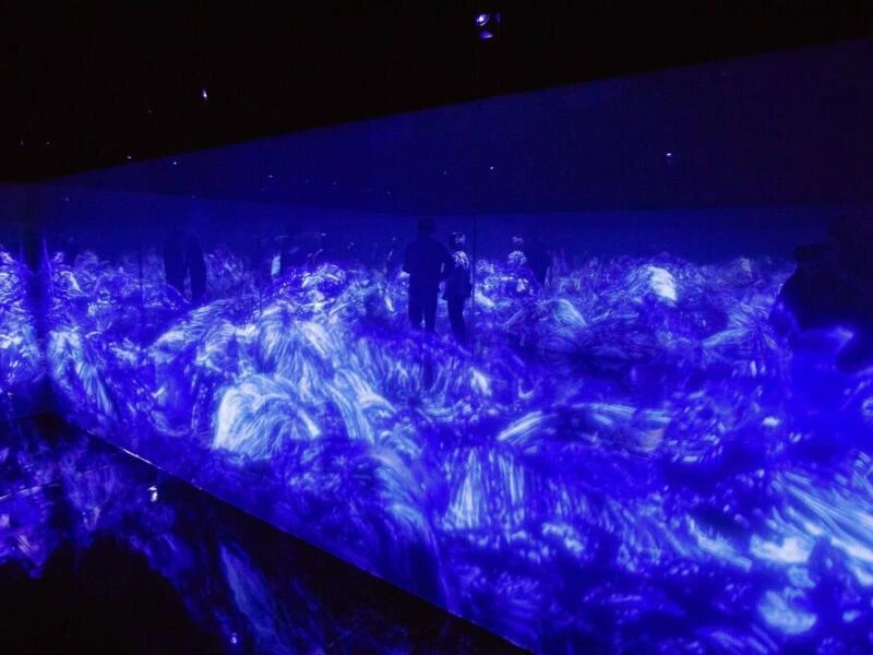 Installation im teamLab Borderless Tokyo