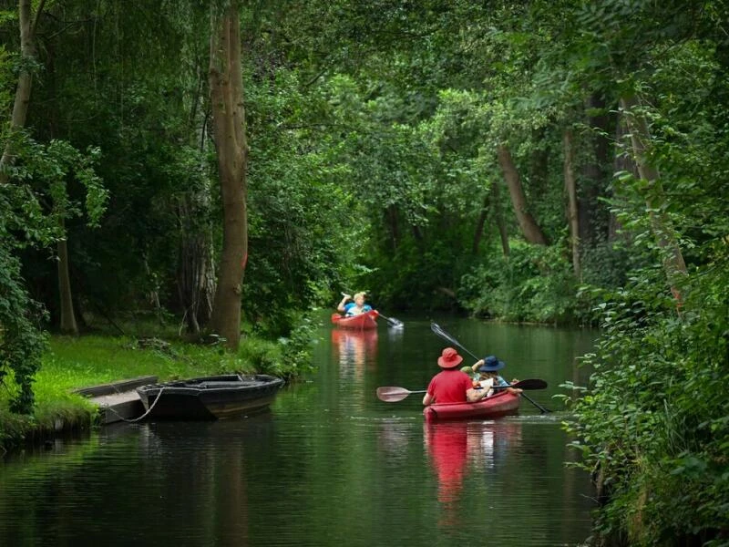 Im Paddelboot durch den Spreewald