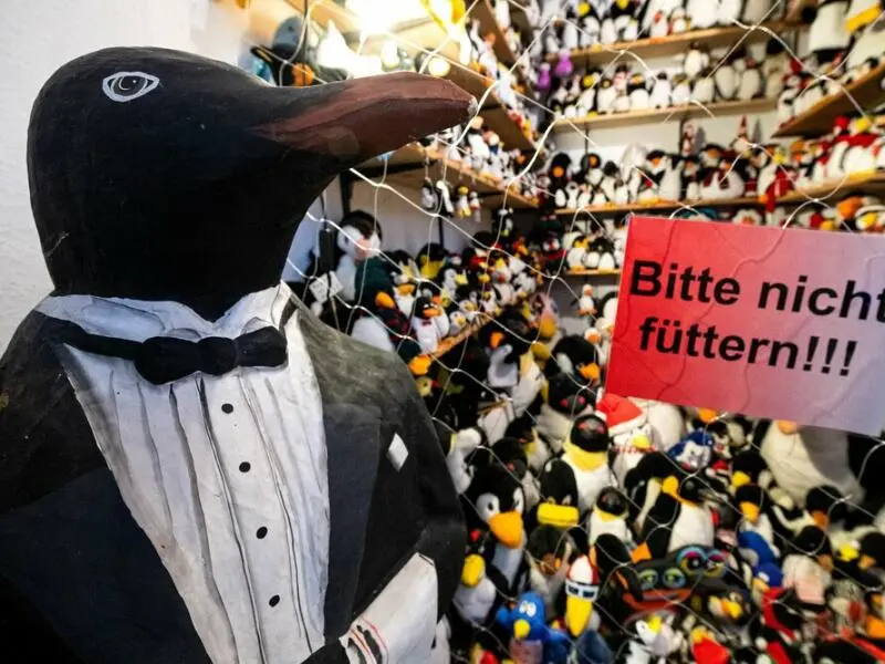 Pinguin-Museum Cuxhaven