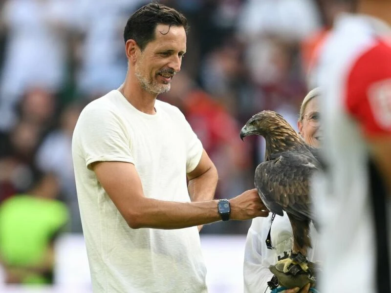 Eintracht-Trainer Dino Toppmöller