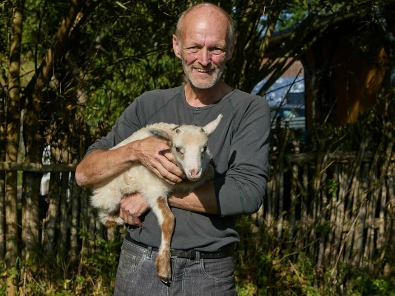 Schaf und Ziege zeugen mutmaßlich Schiege