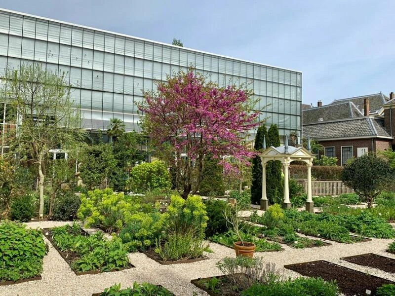 Botanischer Garten in Leiden in den Niederlanden