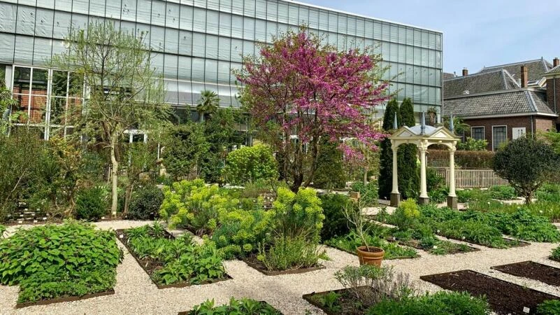 Botanischer Garten in Leiden in den Niederlanden