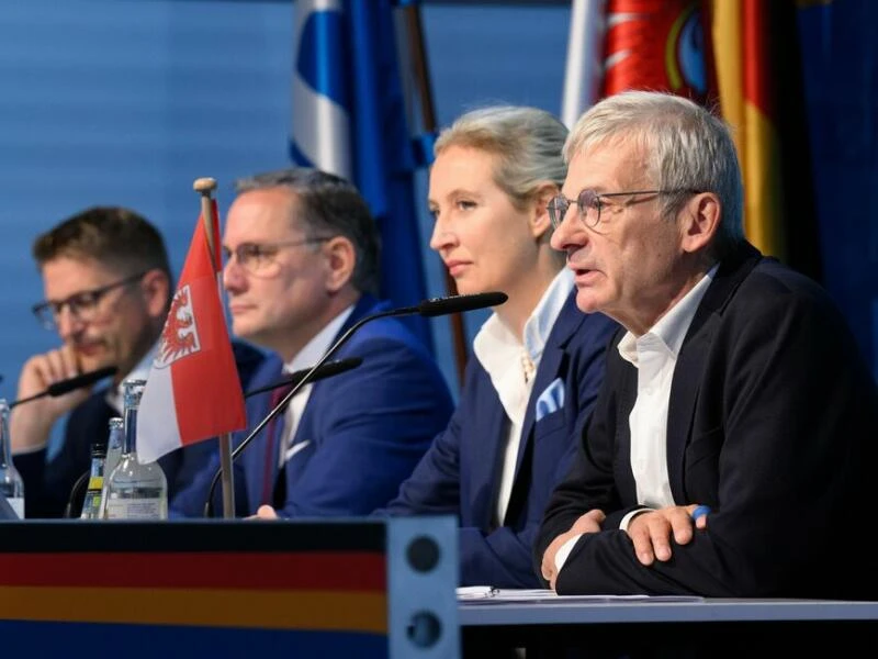 Nach der Landtagswahl in Brandenburg - AfD