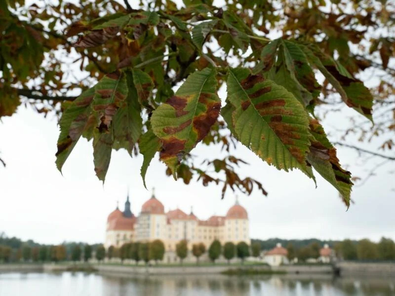 Herbst in Sachsen