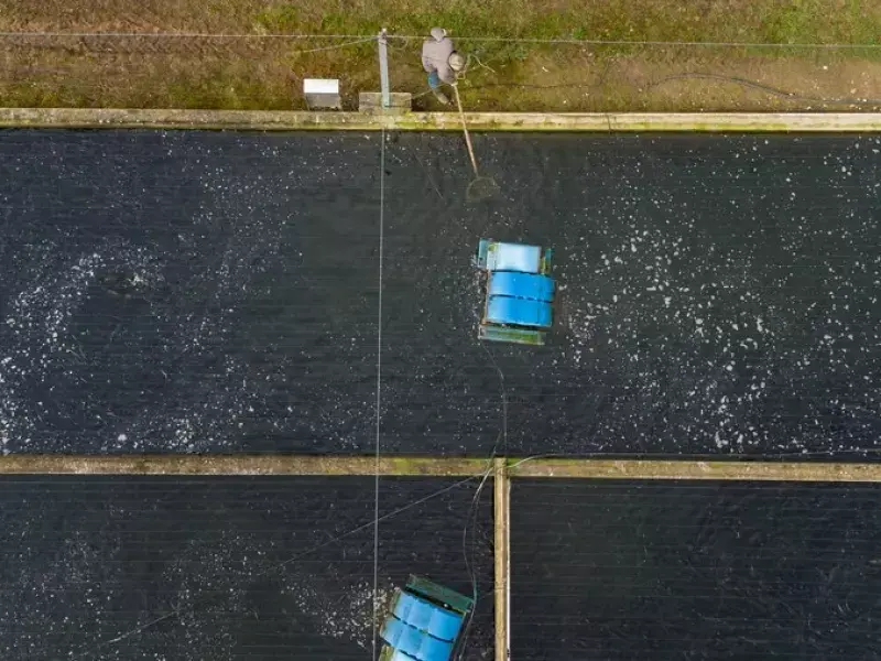 Aquakultur in Niedersachsen