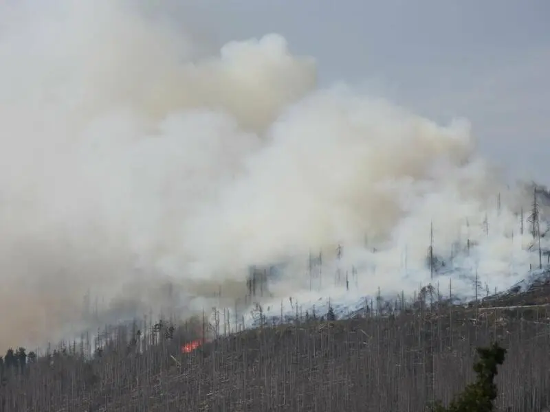 Brand am Königsberg im Harz