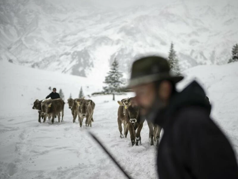 Schneefall in der Schweiz