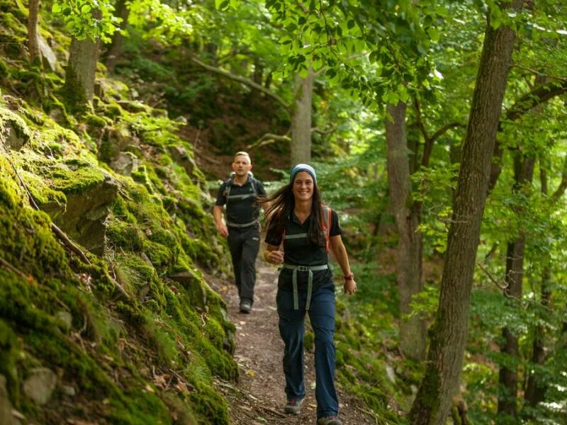 Wanderer auf dem Urwaldsteig am Edersee