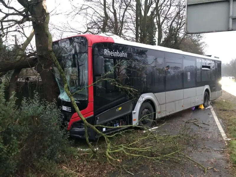 Linienbus kollidiert mit Baum