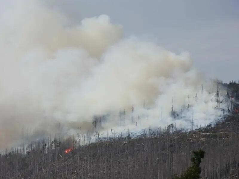 Brand am Königsberg im Harz