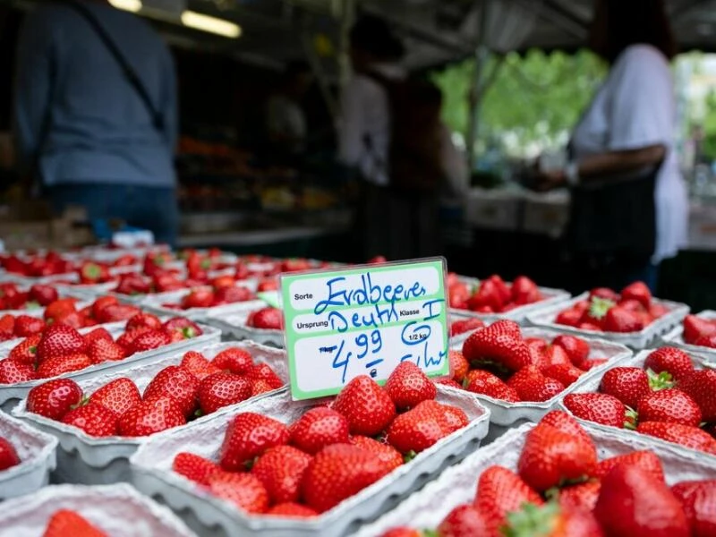 Marktstand mit Erdbeeren in München