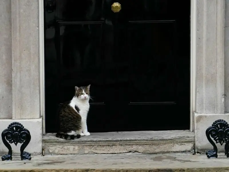 Kabinettssitzung in Großbritannien