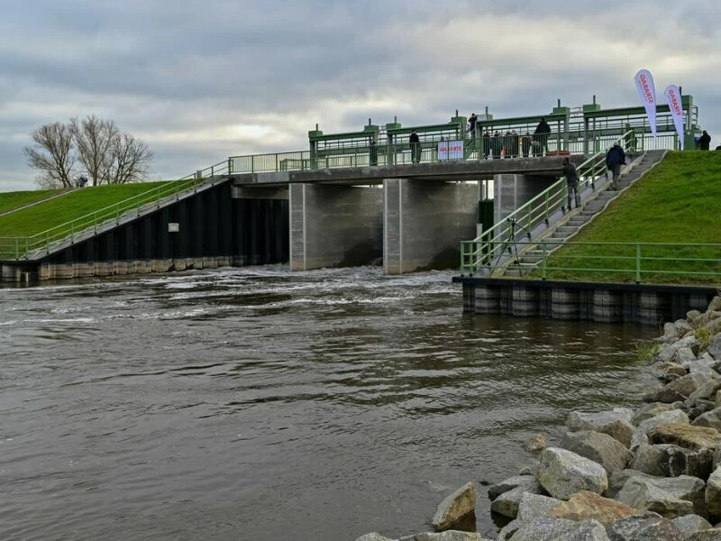 Wasser strömt in den Nationalpark Unteres Odertal