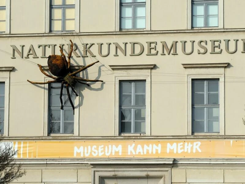 Naturkundemuseum Leipzig