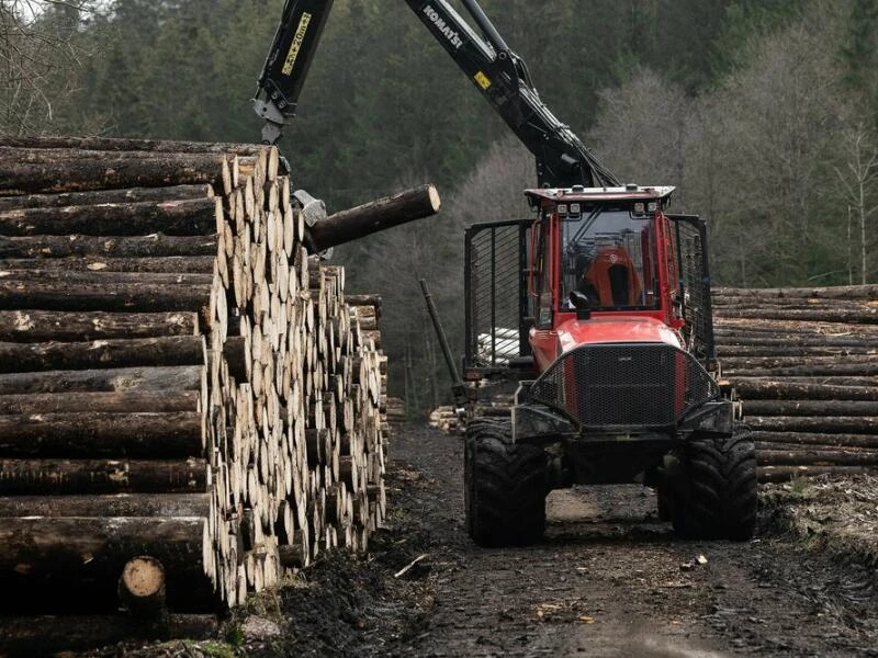 Landesforsten lösen Holzdepots im Harz auf