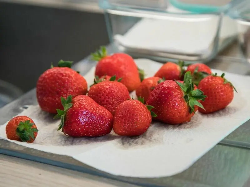 Erdbeeren auf Küchenpapier trocknen