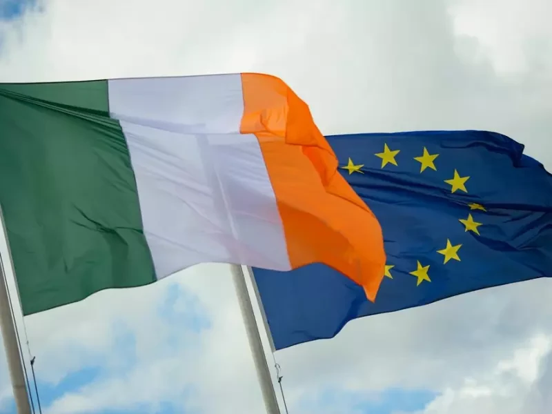 Flaggen von Irland und der EU