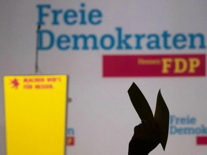 FDP - Symbolbild