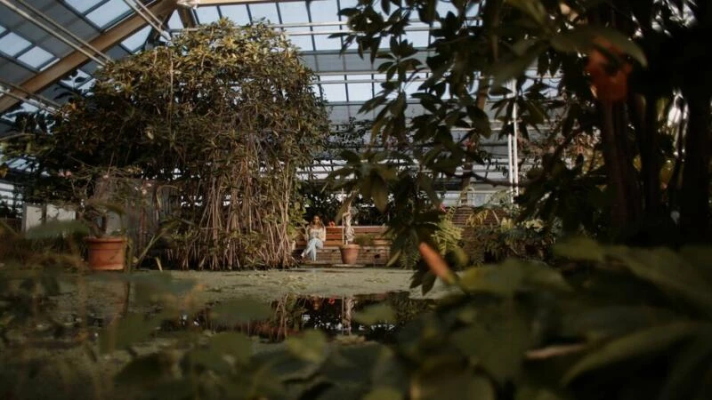 Botanischer Garten in Leiden in den Niederlanden