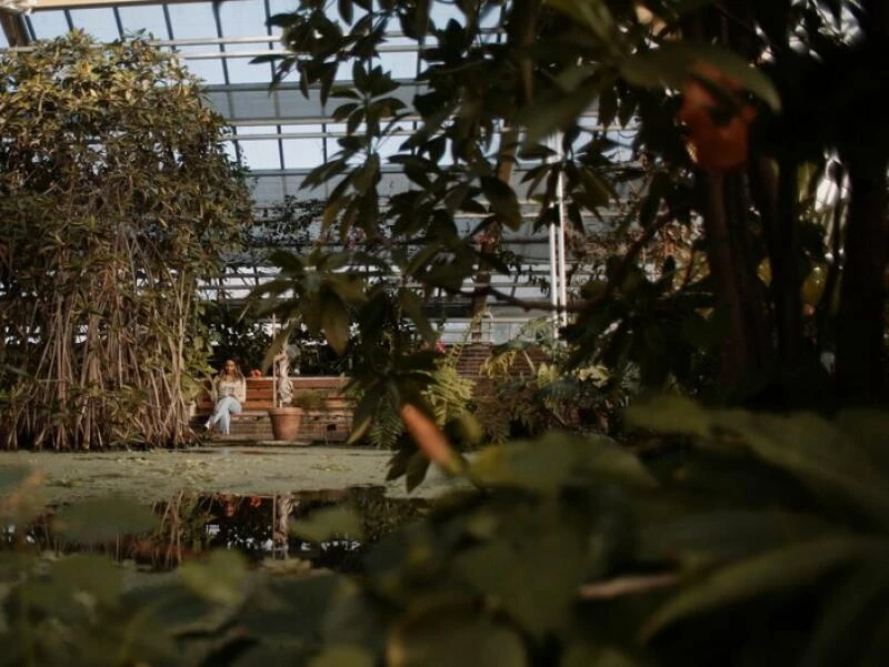 Botanischer Garten in Leiden in den Niederlanden