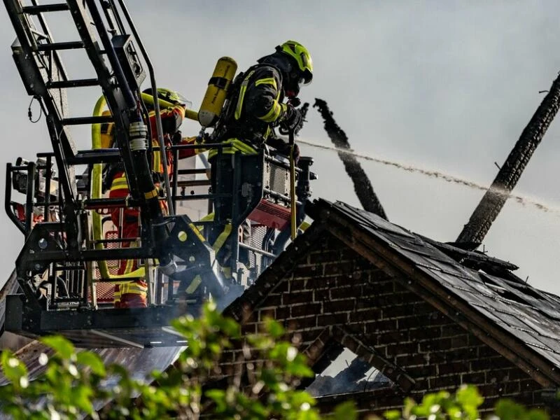 20 Rinder sterben bei Großbrand auf Bauernhof