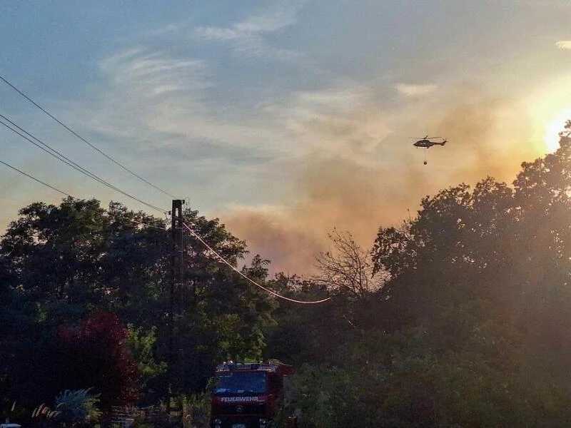 Waldbrand in Oranienbaum