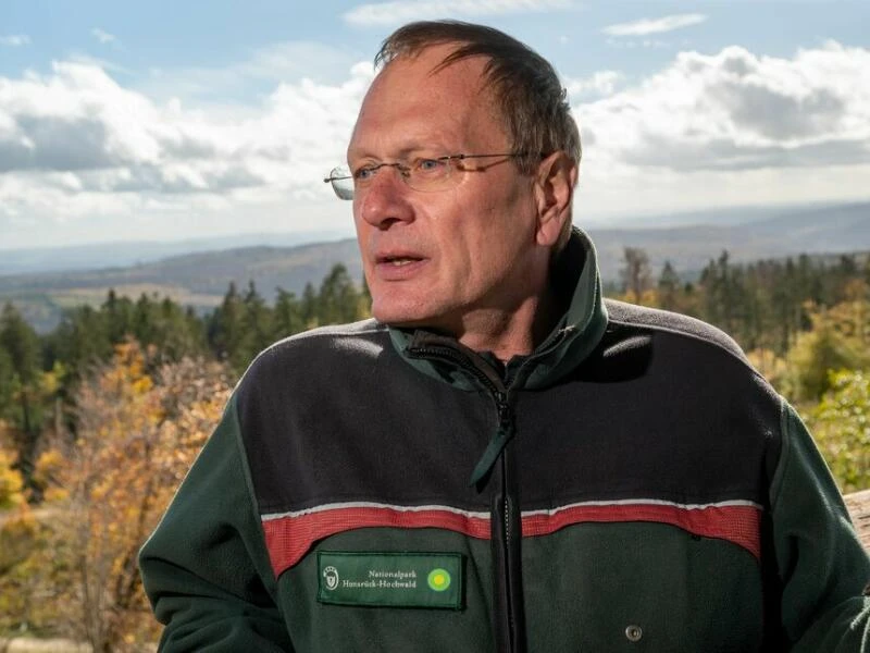 Nationalpark Hunsrück-Hochwald