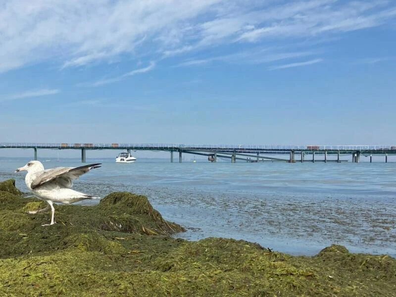 Sommerwetter an der Ostsee