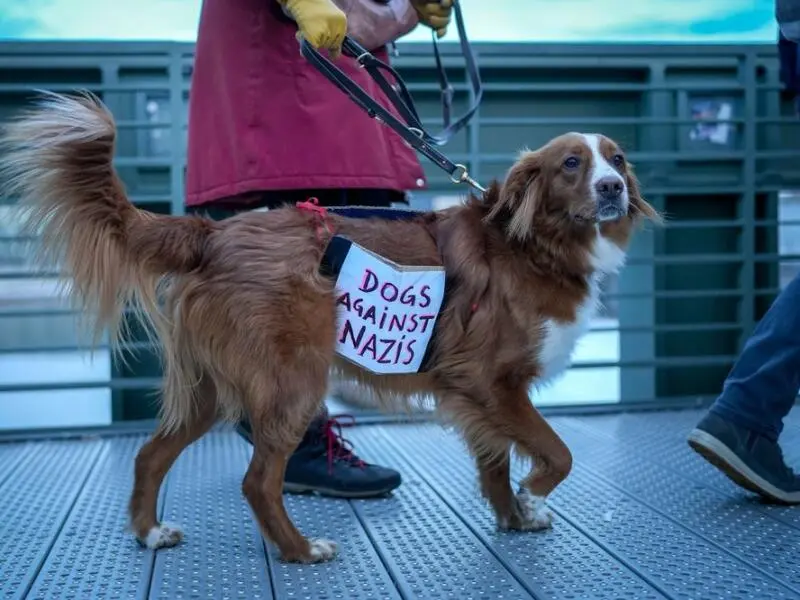 Protest-Hund