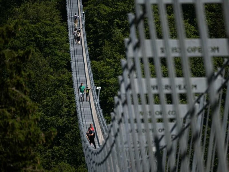 Besucher gehen über den Skywalk Willingen im Sauerland