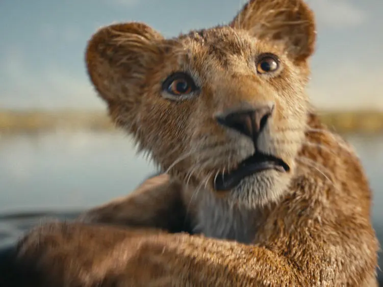Mufasa: Der König der Löwen – Infos zur Handlung, Cast und Release