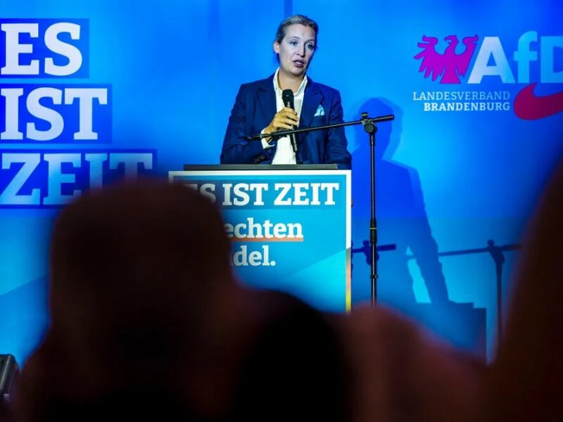 Wahlkampf der AfD in Brandenburg