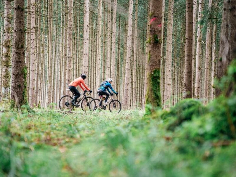 Gravelbiker fahren durch einen Wald in Oberbayern