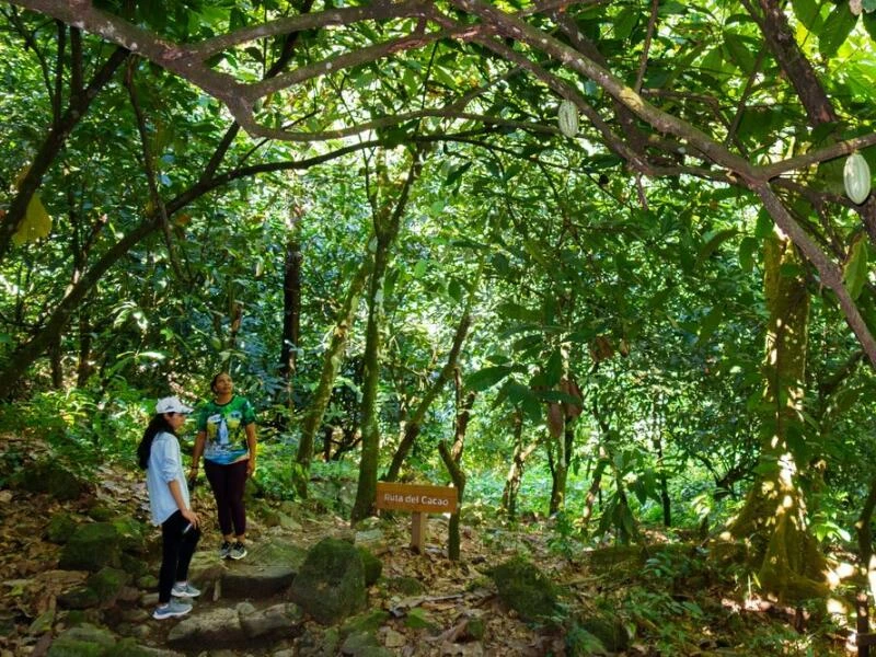 Wanderweg zum Wasserfall im Naturschutzgebiet Saltos del Jima