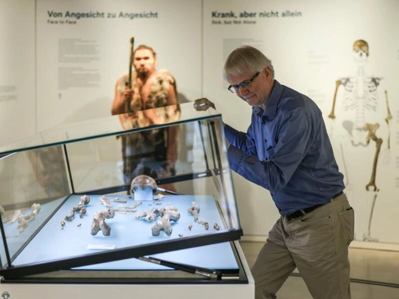 Neandertaler im LVR-LandesMuseum Bonn