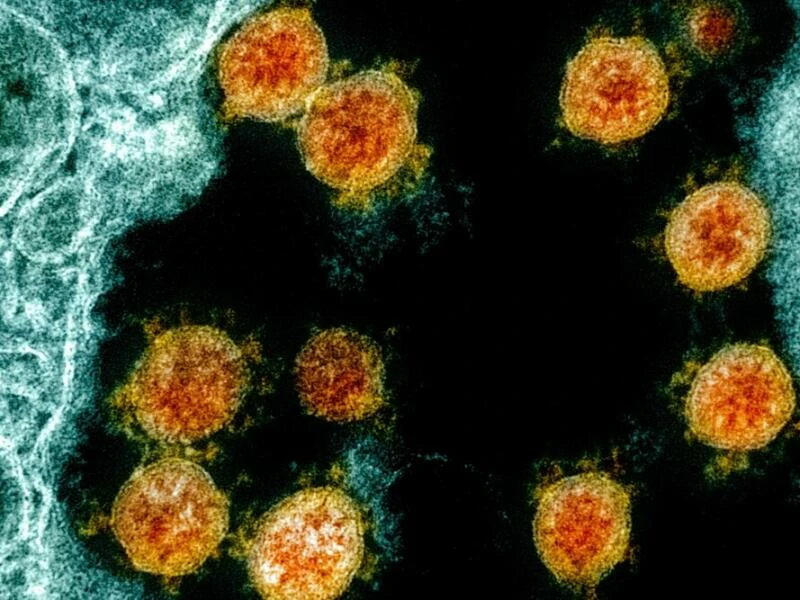 Coronavirus