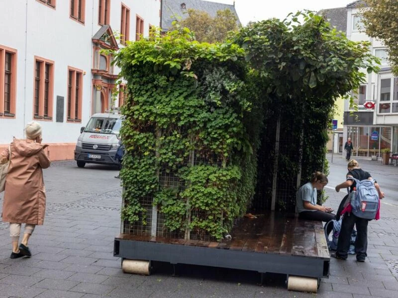 Mobile grüne Zimmer in Mainz