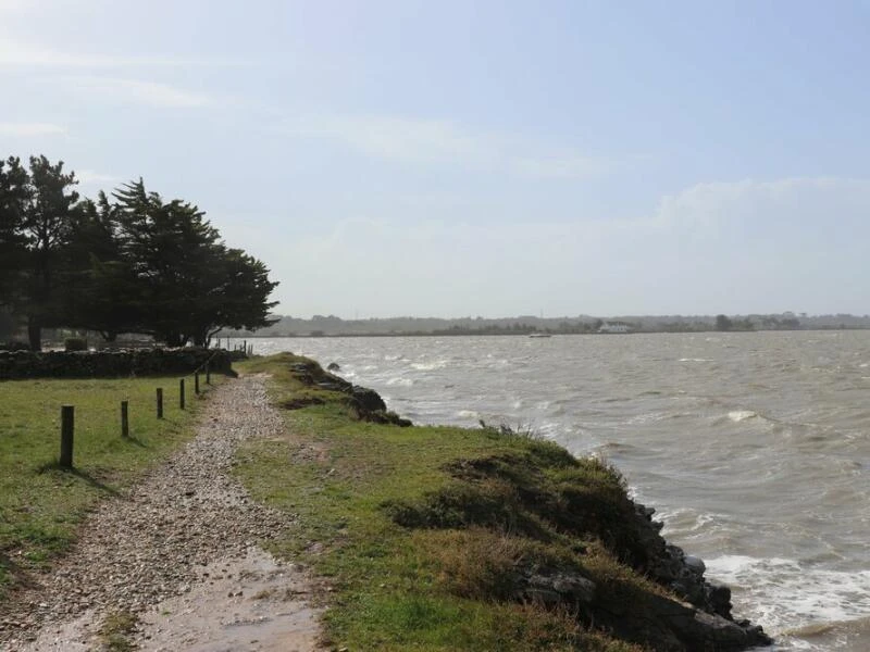 Salzwiesen bei Saint-Armel vor der Ile Tascon